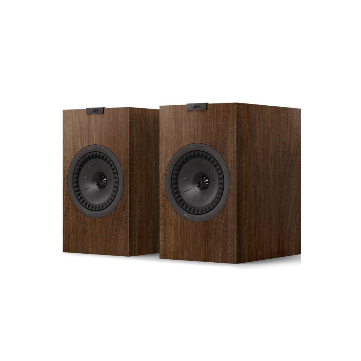 KEF Q3 Meta Raf Tipi Hoparlör Walnut