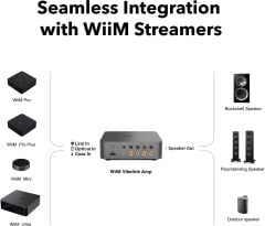 WiiM Vibelink Amp
