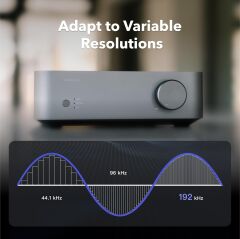 WiiM Vibelink Amp