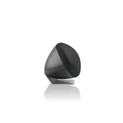 Bowers & Wilkins Zeppelin Pro Edition Wireless Hoparlör Space Grey