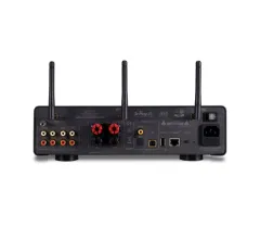 Quad Vena II Play Black