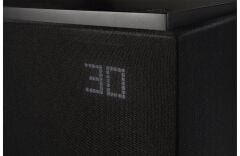 Definitive Technology Descend DN12 Subwoofer