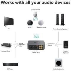 Wiim Amp Streaming Amplifier