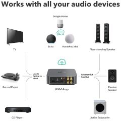 Wiim Amp Streaming Amplifier