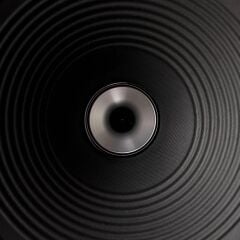 Vestlyd V12c Pasif Hoparlör