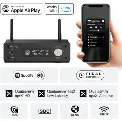 Arylic H50 Wireless Stereo Amplifier