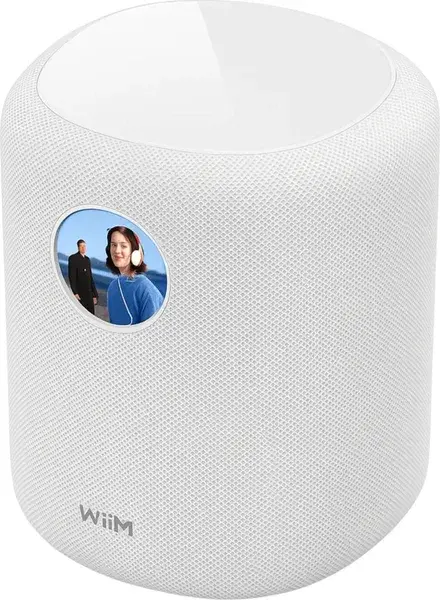 WiiM Sound Kablosuz Wifi Hoparlör