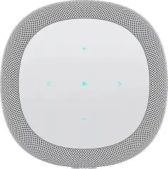 WiiM Sound Kablosuz Wifi Hoparlör