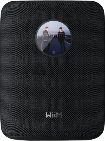 WiiM Sound Kablosuz Wifi Hoparlör