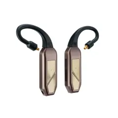 iFi Audio Go Pod MAX Kablosuz Adaptör