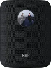 WiiM Sound Kablosuz Wifi Hoparlör Black