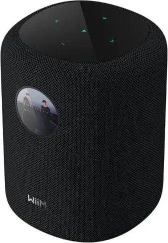 WiiM Sound Kablosuz Wifi Hoparlör Black
