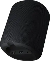 WiiM Sound Kablosuz Wifi Hoparlör Black