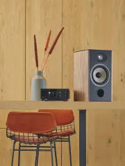 Focal Aria Evo X No1 Raf Tipi Hoparlör Prime Walnut
